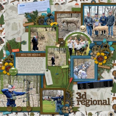 3d Regional