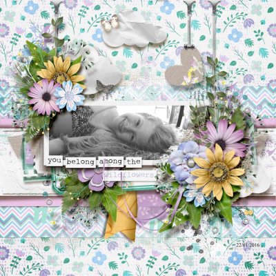 You Belong Among The Wildflowers