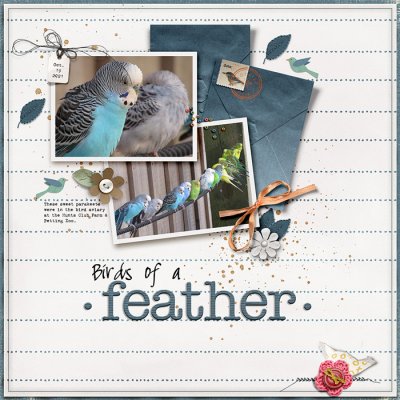 Birds of a Feather