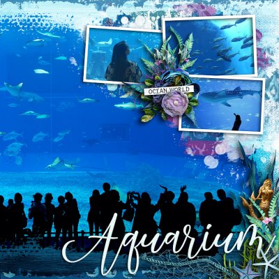 Ocean Aquarium