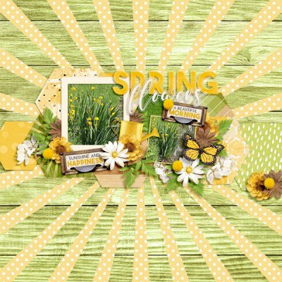 Spring Flowers