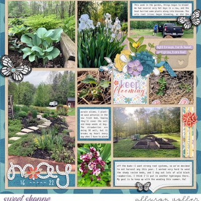 Garden may 01