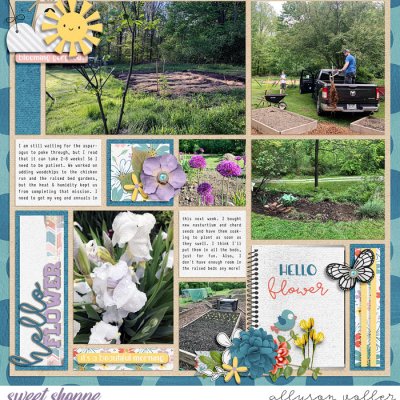 Garden may 02