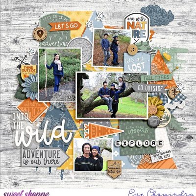 into the wild