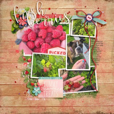 Fresh Berries
