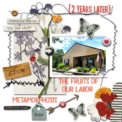 Metamorphosis