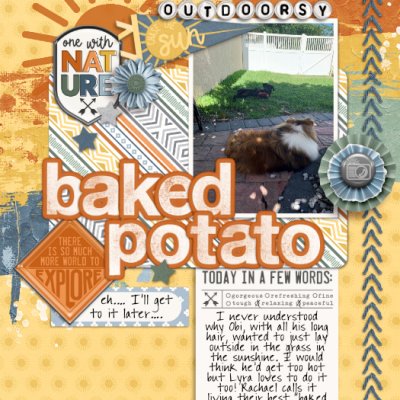 Baked Potato