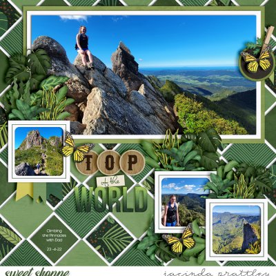 Top of the world