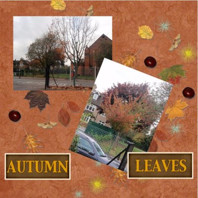 moreautumn