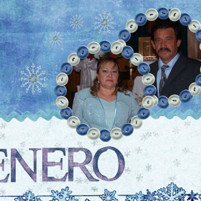 2009 Calendar: January