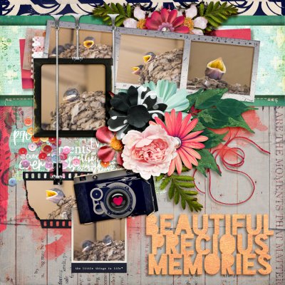A Beautiful Life Everyday Moments