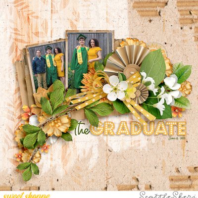 The Graduate