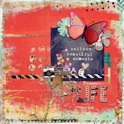 Collect Beautiful Moments