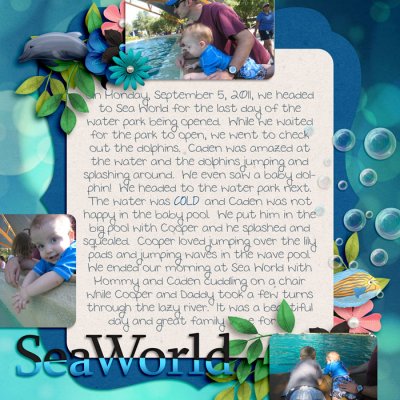 Sea World Dolphins 2011