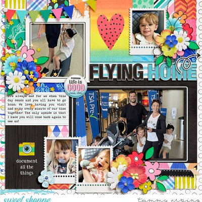 flying home