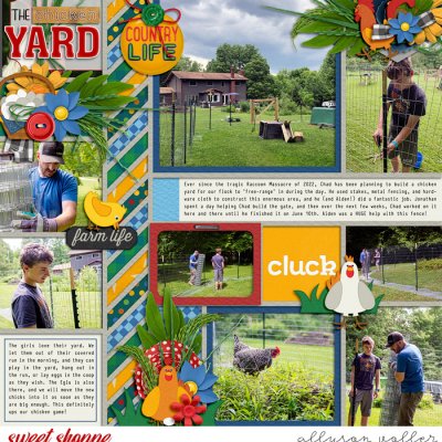 Chicken Yard