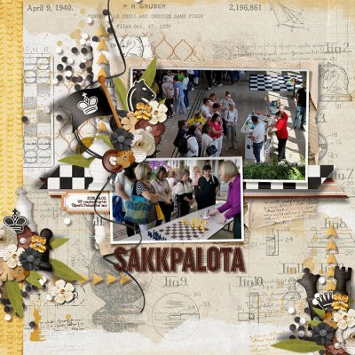Chesspalace program