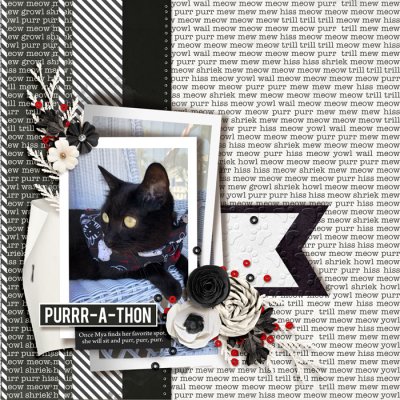 2022 Jul 02 Purr A Thon