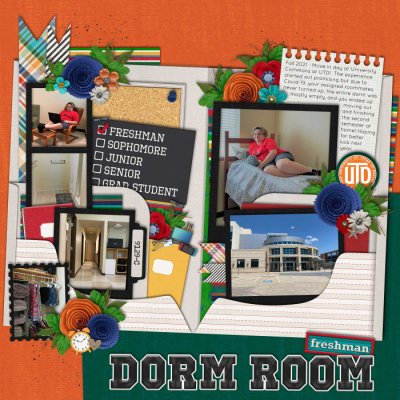 School - College: Freshman Dorm Room