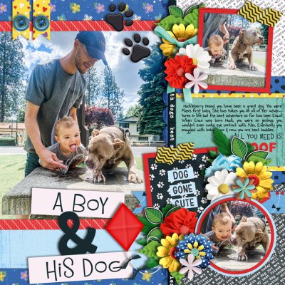 A Boy & HIs Dog
