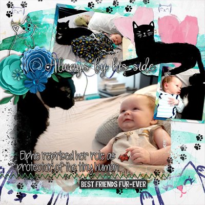 kitty-protector-f