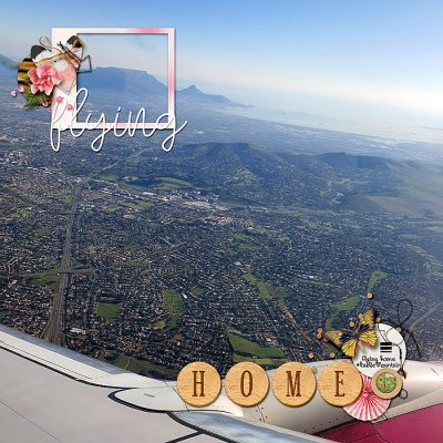 Flying home