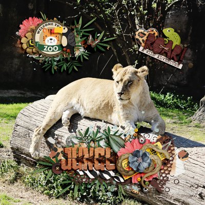 Memphis Zoo- 2012