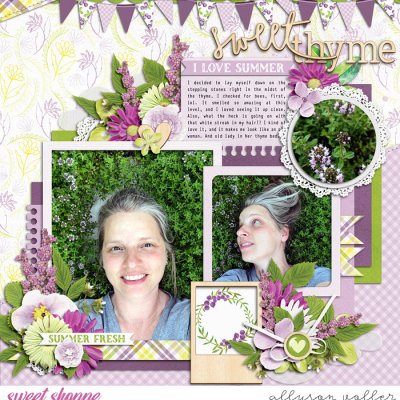 Sweet Thyme