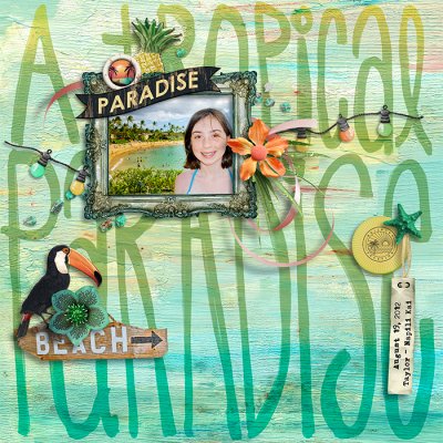 Napili Kai - Tropical Paradise
