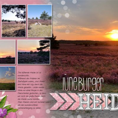 Heide-Bilder