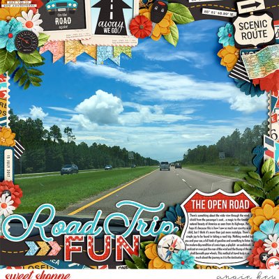Road Trip Fun