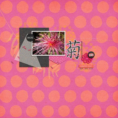 Chrysanthemum