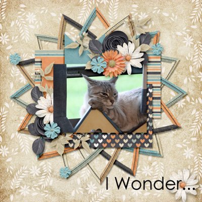 I wonder...