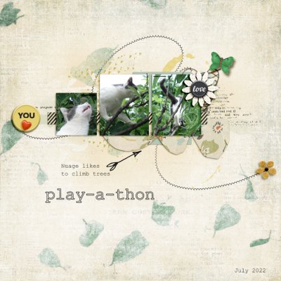 Nuage play a thon