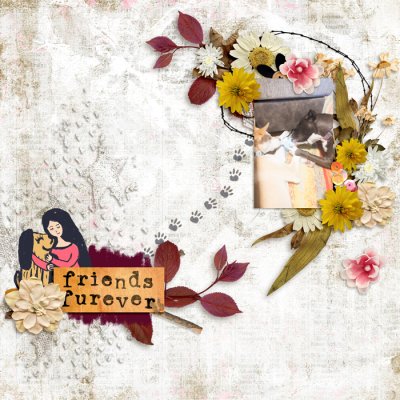 Friends Furever