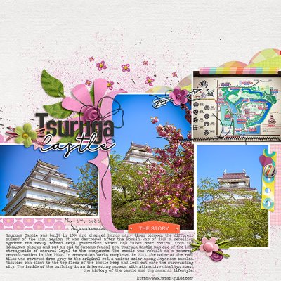 Tsuruga Castle 2