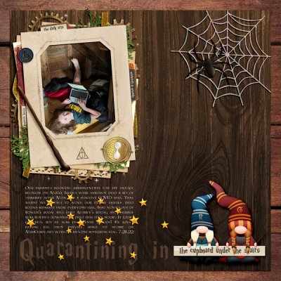 The Cupboard Under the Stairs