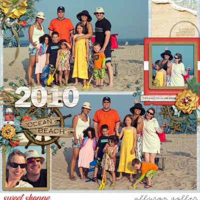 Chincoteague 2010 cover