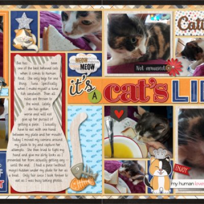 It's a Cat's Life