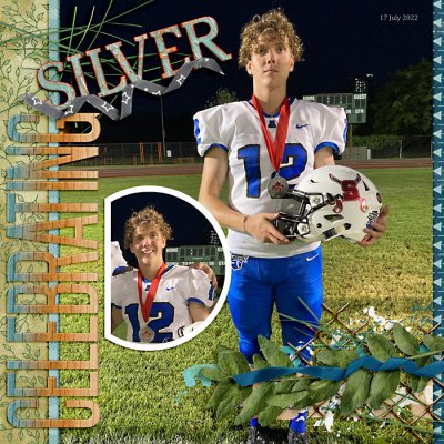Celebrating Silver