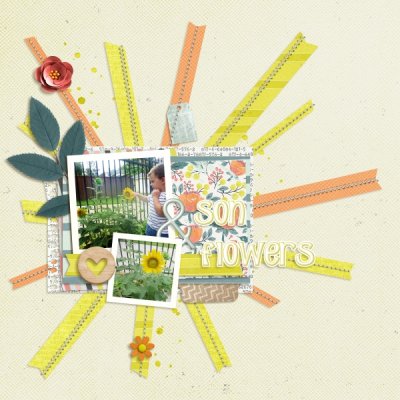 Son flowers