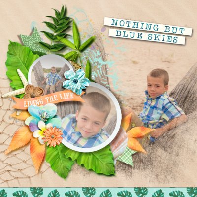 tnp-tropicalbreeze-cheryl1-challjuly26