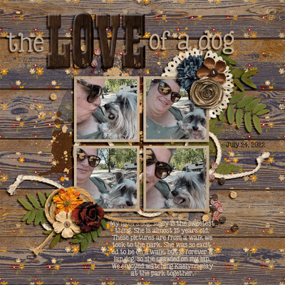 The Love of a Dog