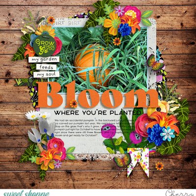 Bloom