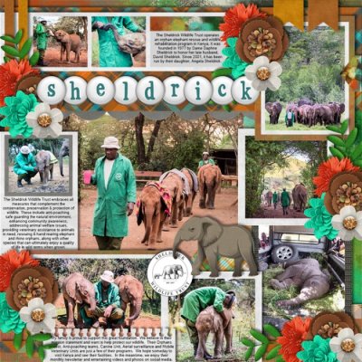 Sheldrick