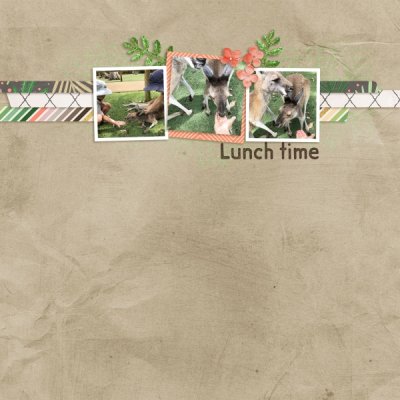 Lunch Time