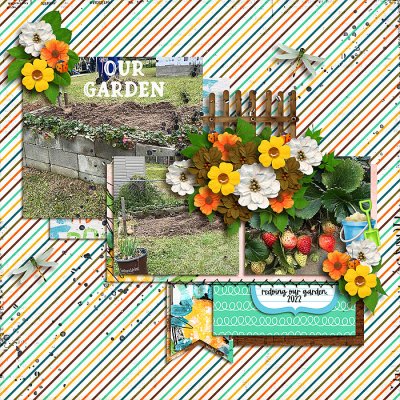 Our Garden