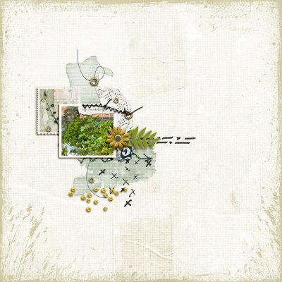 my herbs