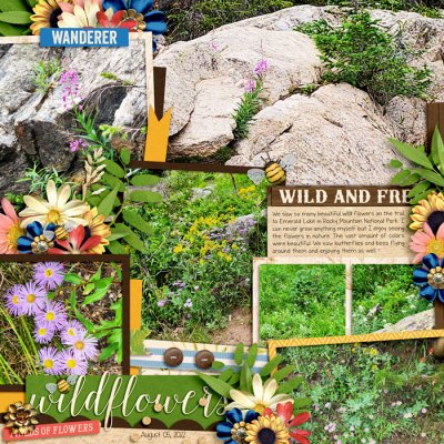 Wildflowers 0822