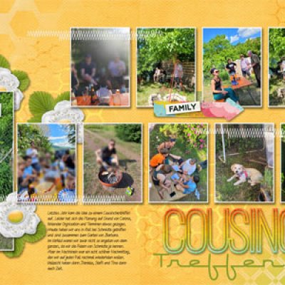 cousins